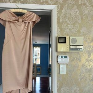 Chic, Champagne Dress